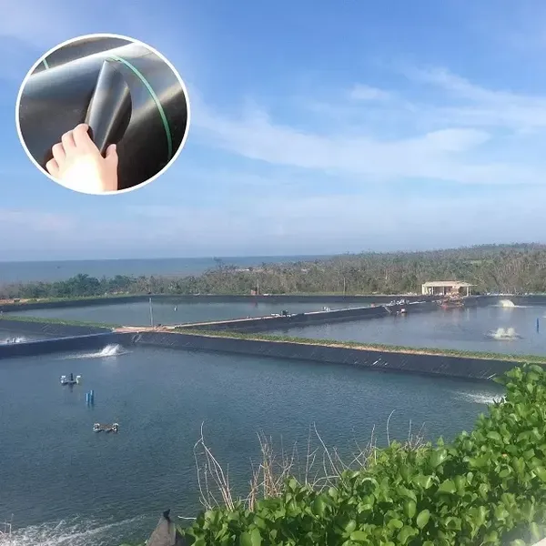 Factory Price HDPE Impermeable Film High Density Polyethylene 0.5mm 3.0mm Geomembrane for Pond Liner photo-3