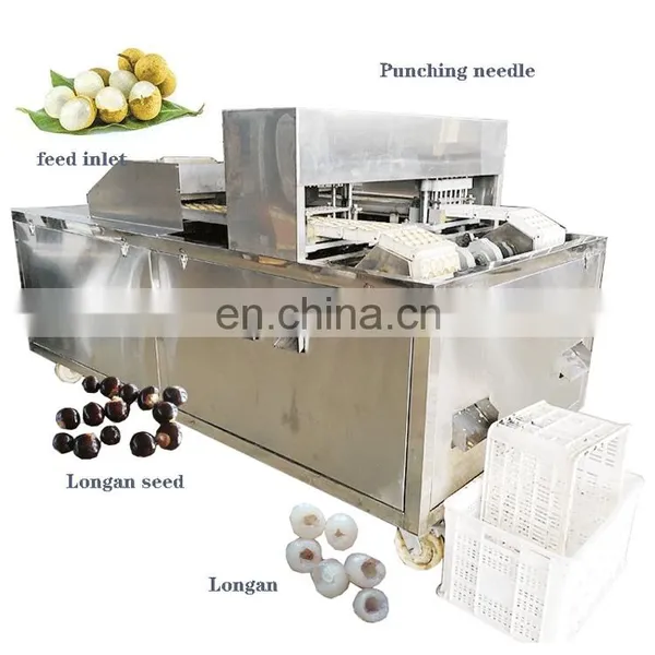 Peach Longan Cherry Sweet Date Olive Prune Destone Cherry Avocado Seed Removing Machine photo-5