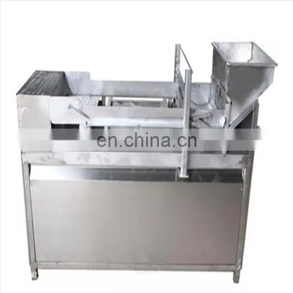 Commercial Fruit Leather Snack Production Line photo-4