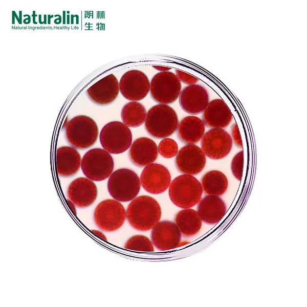 Astaxanthin photo-4