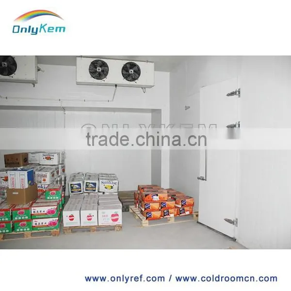 Big Freezer/cold Room Insulated PU Sandwich Panel Supplier's Choice photo-6