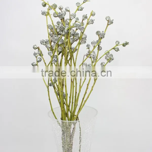 Excellent Quality Eucalyptus Wholesale High Quality Fresh Cut Flowers photo-2