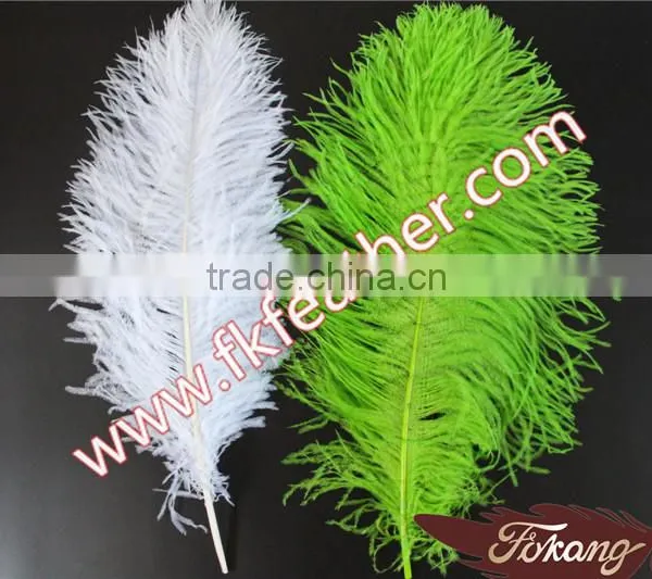 Natural Craft Feather Big White Ostrich Feather For Wedding And Party Decoration 60cm-65cm photo-6