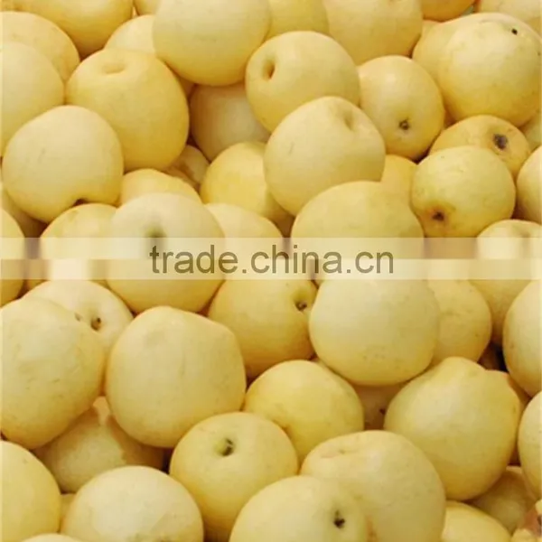 Buying Online in China Custom Canned Snow Pears photo-3