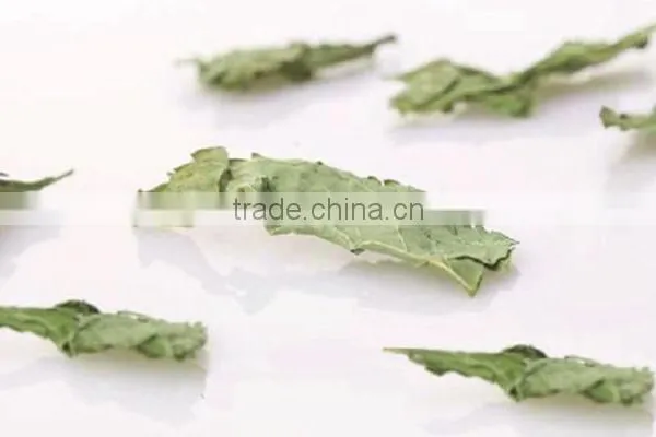 Hot Selling China Herb in Bulk Cold Resistance Herbal Tea Dried Mint Leaves Slimming Herbs photo-4