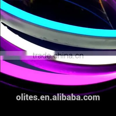 China 2016 12 LEDs/Unit Guangzhou Led Light Neon Light for Exhibition Show photo-3