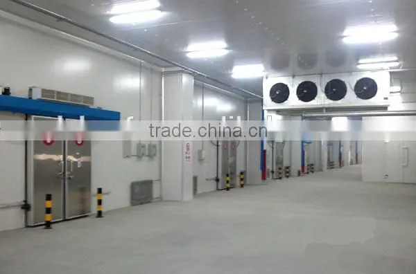 -20 Cold Room for Vaccine and Medicines / Refrigerator Cold Room / Frozen Cold Room photo-3