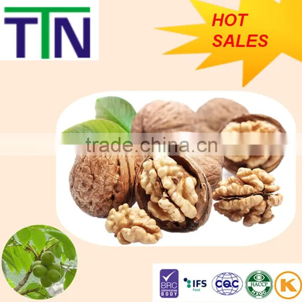 TTN 2015 Chinese Walnut Wholesale Price for Buyers Hot Sale photo-2