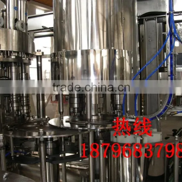 Complete Bottle Juice Fililng Machine, Beverage Filling Machine,liquid Packing Machine photo-2