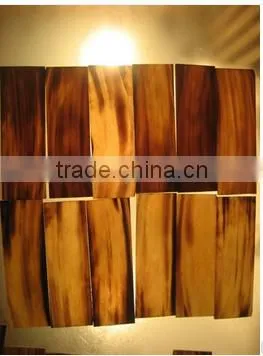 SIXTH SENSE Real Water Buffalo Horn Plates photo-2