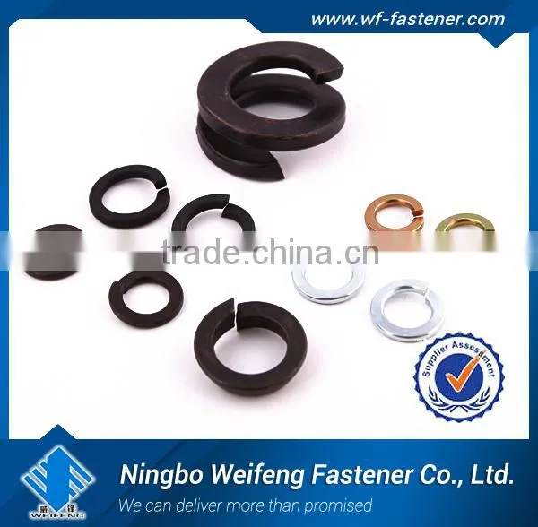 China Supplier & Manufacturer&exporter of Spring Washer photo-6