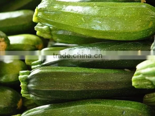 Zucchini photo-4