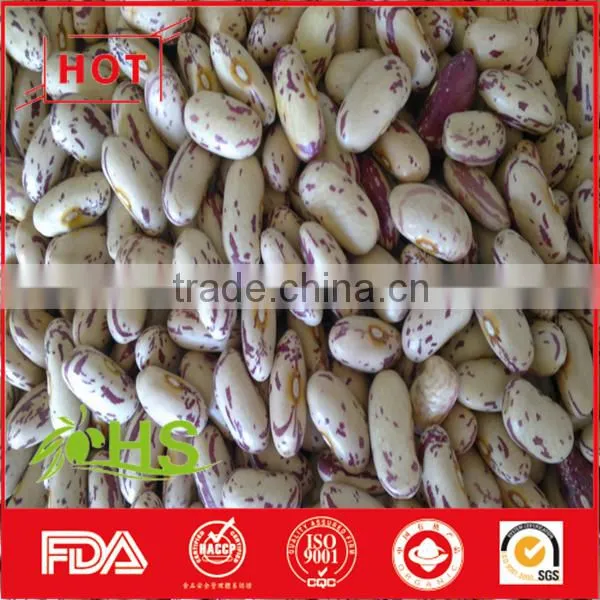 Light Coloured Speckled Kidney Beans for Sale photo-5