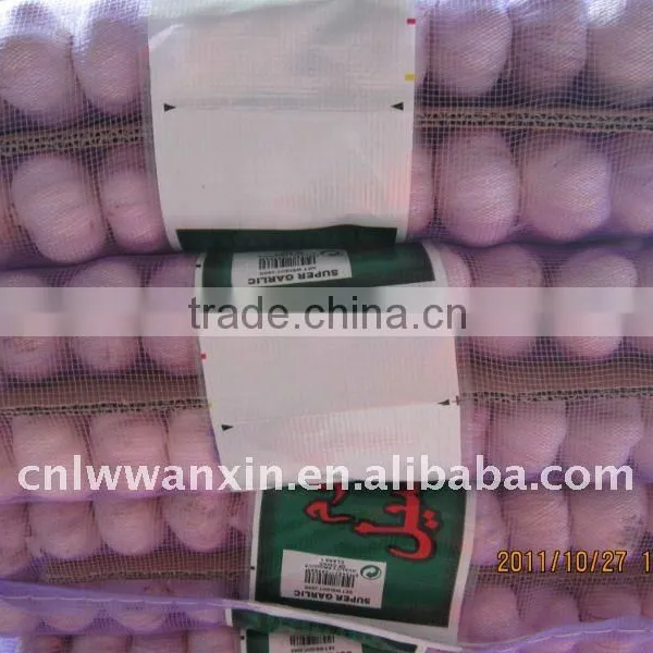 900g*10mesh Bag Garlic
