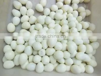 Egg Breaking Machine / Egg Shell Peeling Machine / Egg Husk Removing Machine photo-6