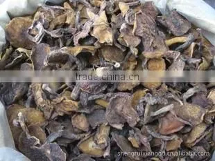 Detan Mushroom Dried Oyster Mushrooms photo-4