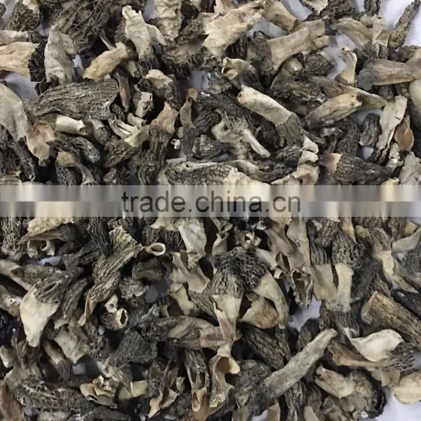 Dried Morels Industrial Grade