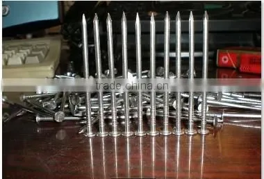 Stainless Steel Headless Nails photo-6