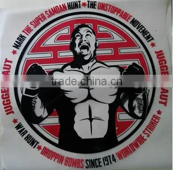2016 Directly Factory Custom Plastisol Heat Transfer Labels for Clothing photo-4