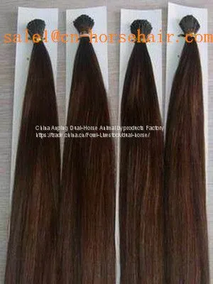 Horse Hair photo-5