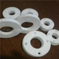 Seal Gasket
