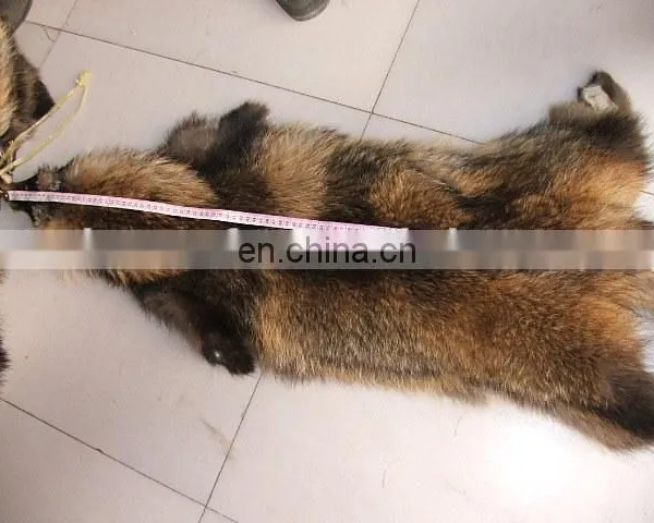 Chinese Wholesale Raccoon Fur Skin Raw Raccoon Fur Pelt Fur Skin photo-3