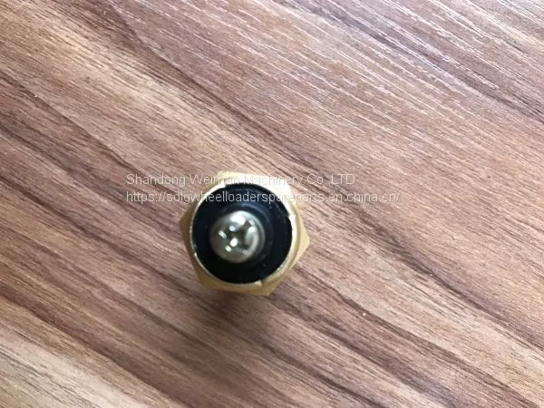 High Quality SDLG LG956L LG958L Wheel Loader Spare Parts 4130000202 WDG1371 Temperature Sensor photo-3
