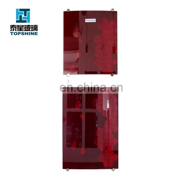 Silk Screen Printing Tempered Glass Door for Refrigerator Door photo-3