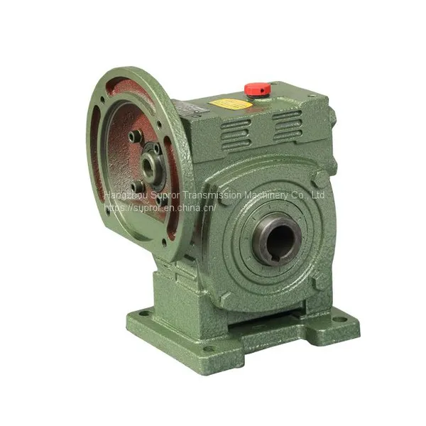 Wp Cast Iron Worm Gearbox photo-4