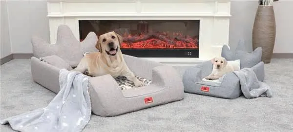 All-Seasons Crown Pet Bed With Cushion & Blanket