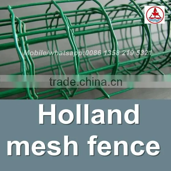 China Factory Cheap Price Rubber Coated Welded Wire Mesh photo-3