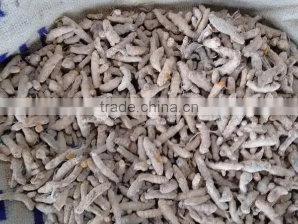 Turmeric Finger