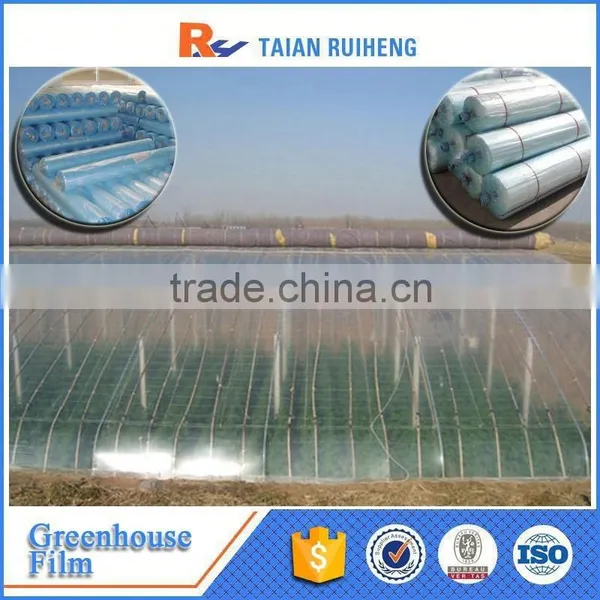 Professional Factory Greenhouse Plastic Film, PE Greenhouse Plastic photo-4