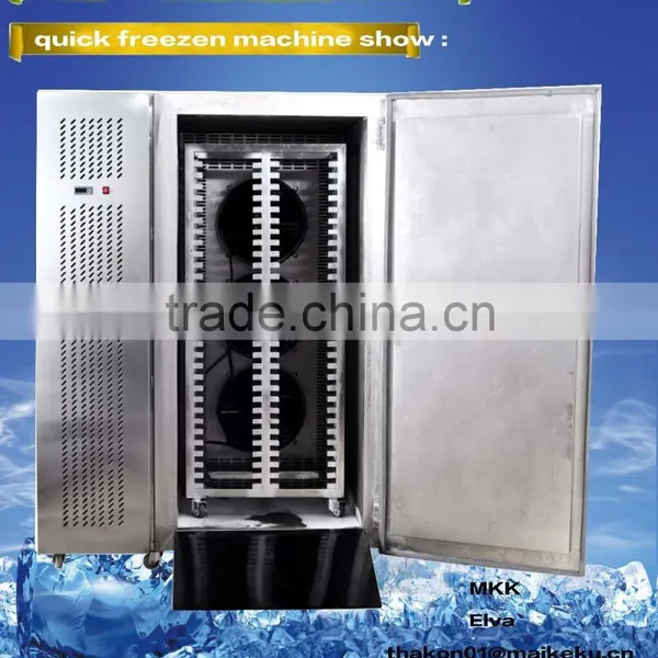 Rozen Ark Stainless Steel Two-door Big Production Can be Customized Seafood Frozen Ark photo-2