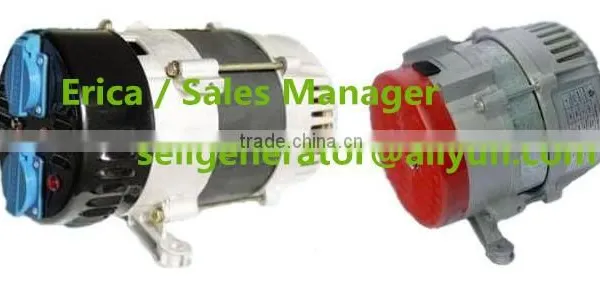 1kw-6kw Mini Dynamo Generator photo-3