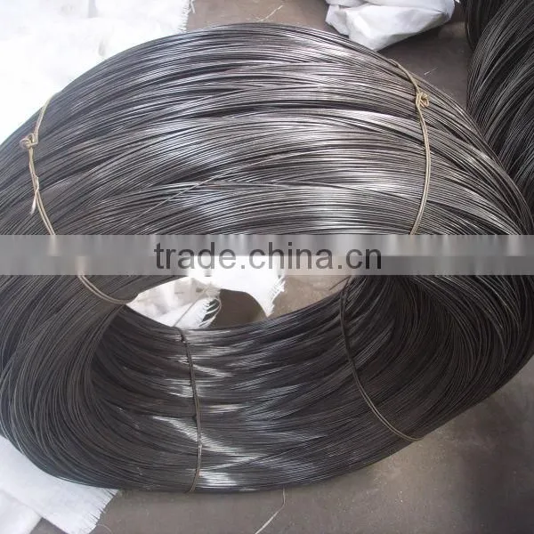 China Galvanized Steel Wire photo-2