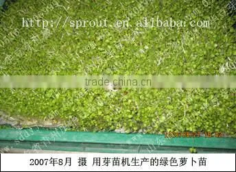 Hot Selling Automatic Barley Sprouting Machine China photo-5