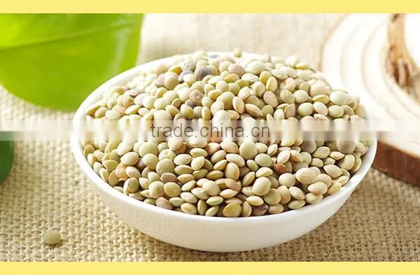 Chinese Lentils