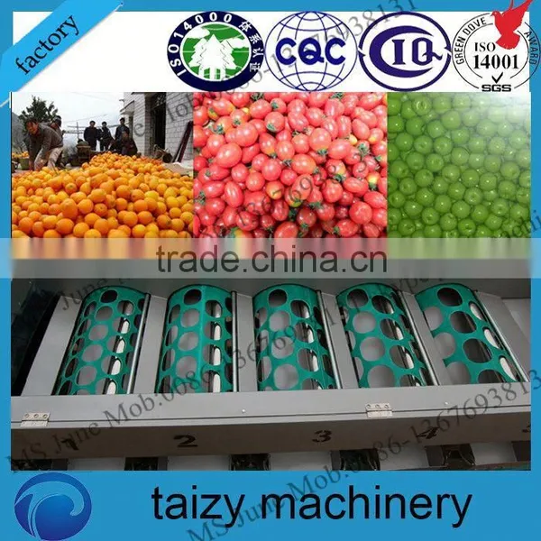 industrial machine pattern grading machine