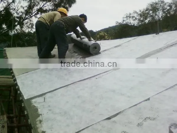 Factory: PP/PE Waterproof Fabric, Polythene and Polypropylene Polymer Compound Waterproof Membrane photo-4