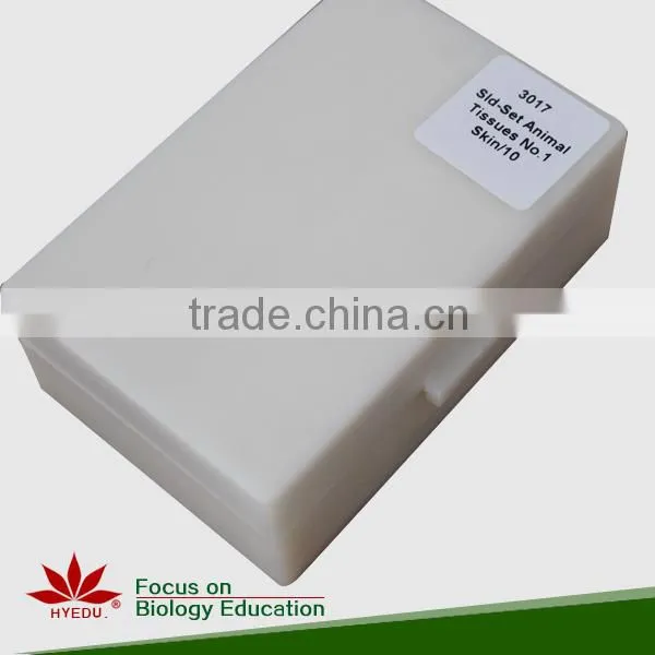 Microscope Prepared Slides ,Seed Slides, Seedling Prepared Slides photo-4