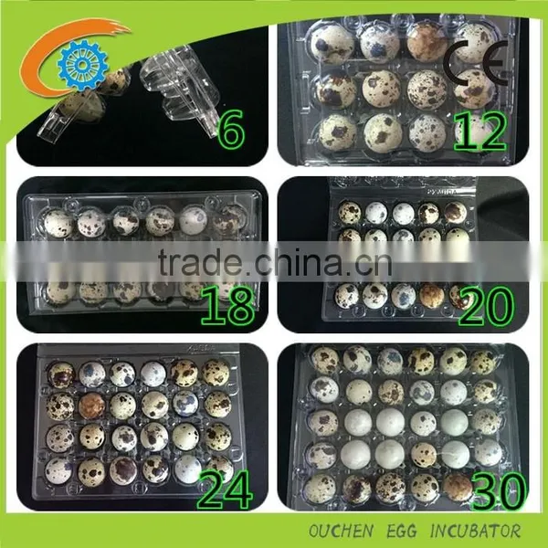Manufacture Custom Egg Cartons Packaging , PET PVC Egg Cable Tray Price 6/10/12/15/18/24/30 Packs
