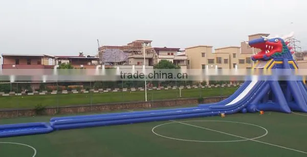HUGE DRAGON INFLATABLE WATER SLIDE FOR ADULTS AND CHILDREN photo-2
