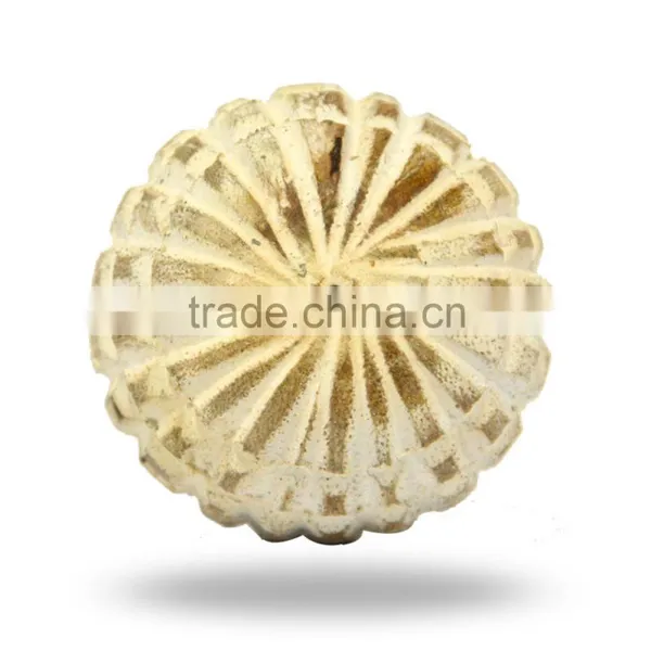 Resin Grey Bone Knob photo-4