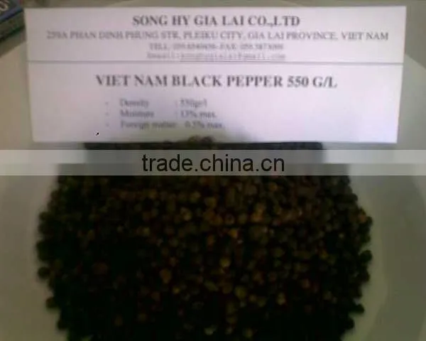 BLACK PEPPER 550GR/L photo-3