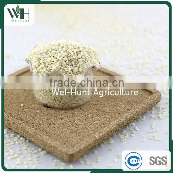 Venezuela White Hulled Sesame Seeds photo-5