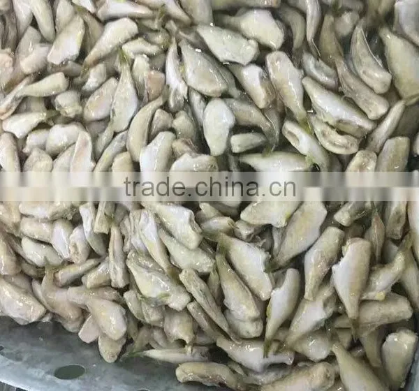 Filefish Good Packing Frozen Leather Jacket Fillet Fish