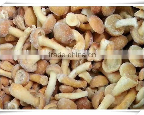 Health Product/nourishment Food /china Food Mushroom photo-3