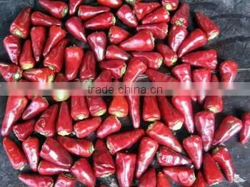 Dired Chilli