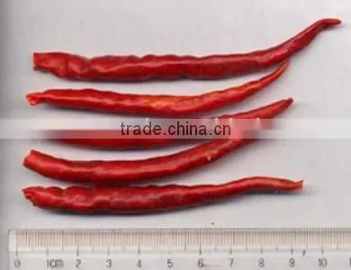 Dried Red Chillies Stemless